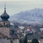 L'atelier Des Tropiques Saverne
