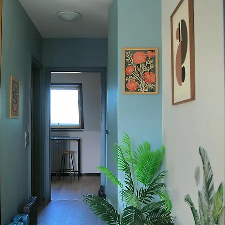 L'atelier Des Tropiques * Saverne