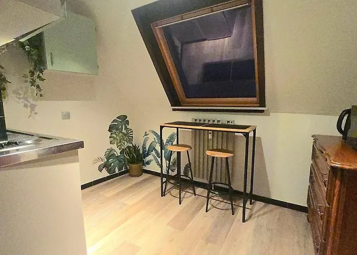 L'atelier Des Tropiques Apartment Saverne